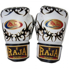Перчатки для бокса Raja Boxing RFBGV-1-54-4
