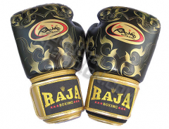 Перчатки для бокса Raja Boxing RFBGV-1-70-111