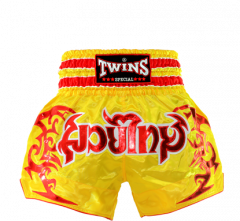 Шорты для муай-тай TWINS SPECIAL NTBS-003